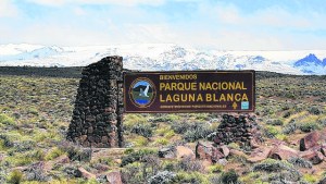 Confirmaron el primer caso de gripe aviar en Neuquén