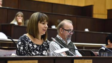 Maria Laura du Plessis y Mario Pilatti, diputados del MPN, en la sesión. (Gentileza)