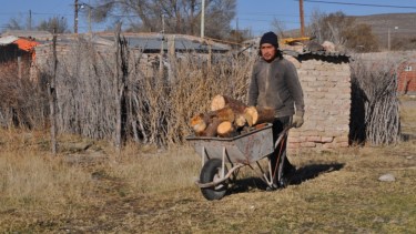 Esperan poder entregar más de dos metros cúbicos de leña por familia. Foto: archivo