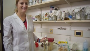 Crean con mosto un jarabe que tiene propiedades nutricionales