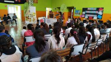 Las visitas realizadas a las escuelas 310, 278, 325 y 328 comenzaron con una charla sobre la abeja, su importancia en la polinización y los beneficios del consumo de miel. Foto: gentileza