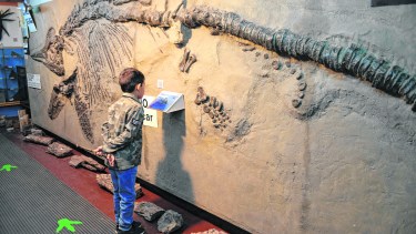 El museo funciona en la avenida 12 de Octubre. Foto: archivo