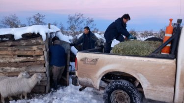 El Servicio Meteorológico Nacional emitió un nuevo alerta para el centro y norte neuquino. 