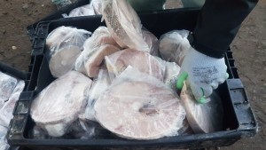 Los cipoleños se quedaron sin pescado de oferta por «falta de rotulación»