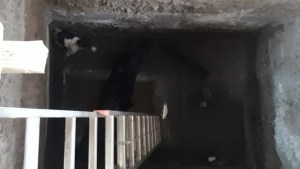 Dos perros cayeron a una cisterna y fueron salvados por los bomberos