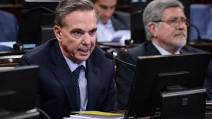 Pichetto: «Cristina no se bajó, sigue siendo el poder»
