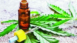 Un café científico para debatir sobre el cannabis medicinal en Roca