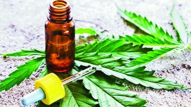 Un café científico para debatir sobre el cannabis medicinal en Roca
