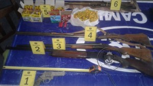 Mató a tiros al perro de una vecina en Plottier y lo imputaron por crueldad