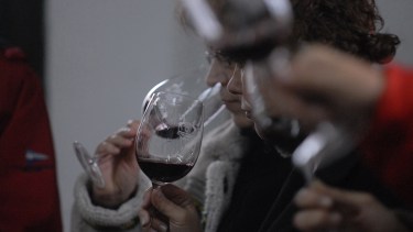 Río Negro se prepara para un evento clave del vino: llega “Íconos de Patagonia 2026”