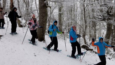 En el cerro Otto ayer un grupo de turistas realizaba caminatas con raquetas en el bosque. (Foto: Alfredo Leiva)