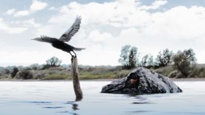 Un increíble escondite flotante para fotografiar a las aves acuáticas de la Patagonia