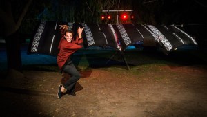 Espectáculos para disfrutar en la Comarca