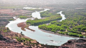 Proponen crear un área natural en la confluencia de los ríos Limay y Neuquén