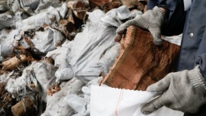 Cipolletti, un municipio que piensa en clave social