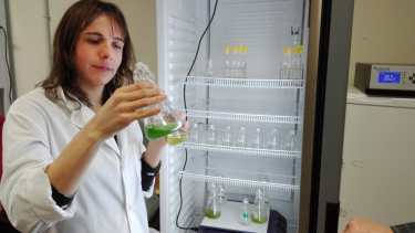 Los microorganismos verdes tienen muchas ventajas respecto de las técnicas convencionales. 