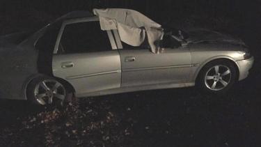 El auto en el que viajaban los jóvenes de Roca chocó contra un caballo esta madrugada. (Gentileza).-