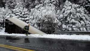 Un camión desbarrancó y cayó por un puente en Samoré
