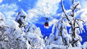 Siete propuestas para disfrutar de las vacaciones en Bariloche