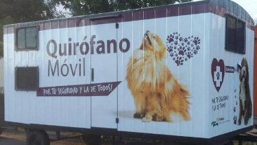 Se esterilizaron casi 100 mascotas en el barrio Guido de Viedma