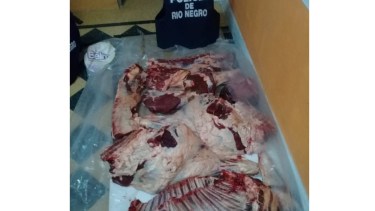 Decomisaron casi 200 kilos de carne en Choele Choel