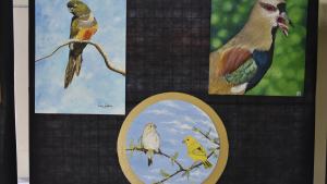 Exponen muestra de Ana Lucero en la Legislatura rionegrina