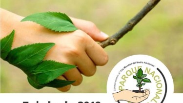 Ofrecen plantines a cambio de un alimento no perecedero en Junín