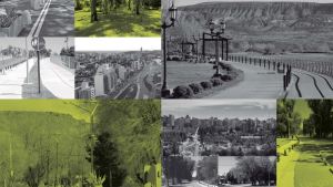 Burocracia contra el desarrollo