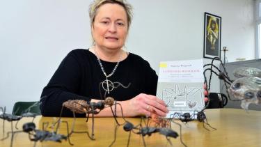 El ensayo dePatricia Weigandt rescata viñetas de intervenciones institucionales en diferentes situaciones y casos que se sucedieron años atrás