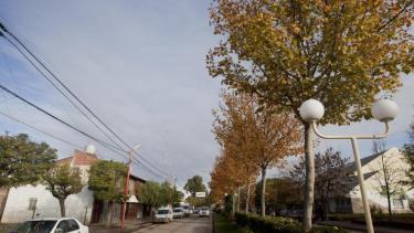 El hallazgo se produjo el jueves en la tarde en una de las chacras (Foto: archivo)