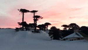 Primeros Pinos se prepara para un fin de semana frío