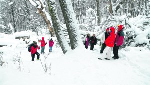Cuatro cerros para vivir  la nieve en Bariloche