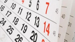 El lunes 8 de julio, ¿es feriado puente?