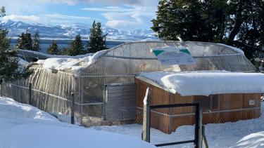 El techo del invernadero del Inibioma cedió con la gran cantidad de nieve. Foto: gentileza
