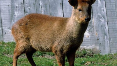 Foto: @INTAargentina