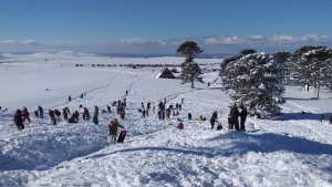 ¿Viste como está Primeros Pinos?