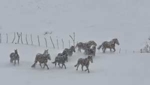 ¡12 bajo cero! Mirá cómo están Varvarco y Manzano Amargo