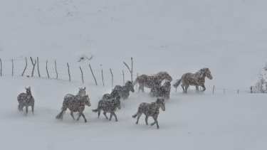 ¡12 bajo cero! Mirá cómo están Varvarco y Manzano Amargo
