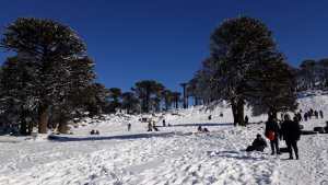 Primeros Pinos: después del viento blanco, ayer día de sol y 300 visitantes