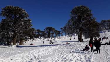 Primeros Pinos: después del viento blanco, ayer día de sol y 300 visitantes