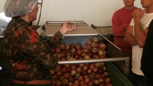 Universidad, transferencia  tecnológica y desarrollo local