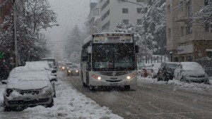 Gremios y vecinalistas presentaron un amparo por el transporte en Bariloche