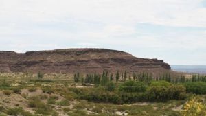 Covunco: Murió un niño aplastado en el derrumbe de un barranco