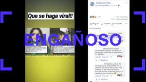 Ofelia Fernández: verdades y falsedades de un posteo que la compara con una cadete de las Fuerzas Armadas