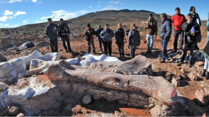 Es falso lo que se afirma en el video donde se asocian restos de un dinosaurio argentino con CFK