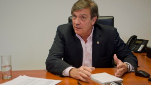 Saggese: “Cuando un país necesita más de 100 artículos para dar estabilidad, está en problemas”