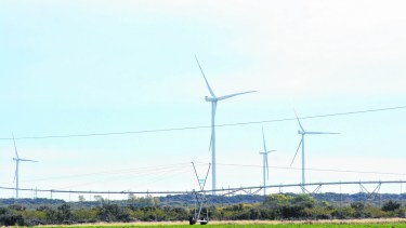 La empresa planteó la construcción de tres parque eólicos en Río Negro. (Foto: archivo)