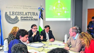 La tarjeta estatal Río Negro Compras recién estará en el 2020 y ya costó $7,5 millones