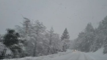 Así estaba la ruta en Puerto Arauco en Villa La Angostura hoy