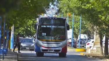 Este jueves habrá transporte urbano en Río Negro, salvo en Roca y Bariloche